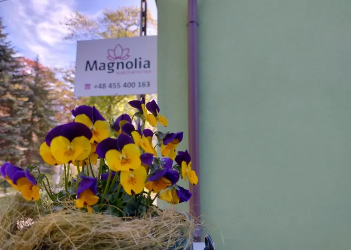 Agroturystyka Magnolia
