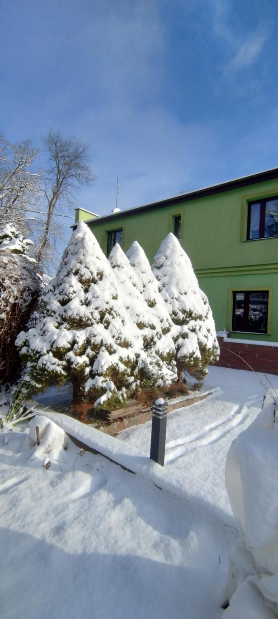 Magnolia Apartment