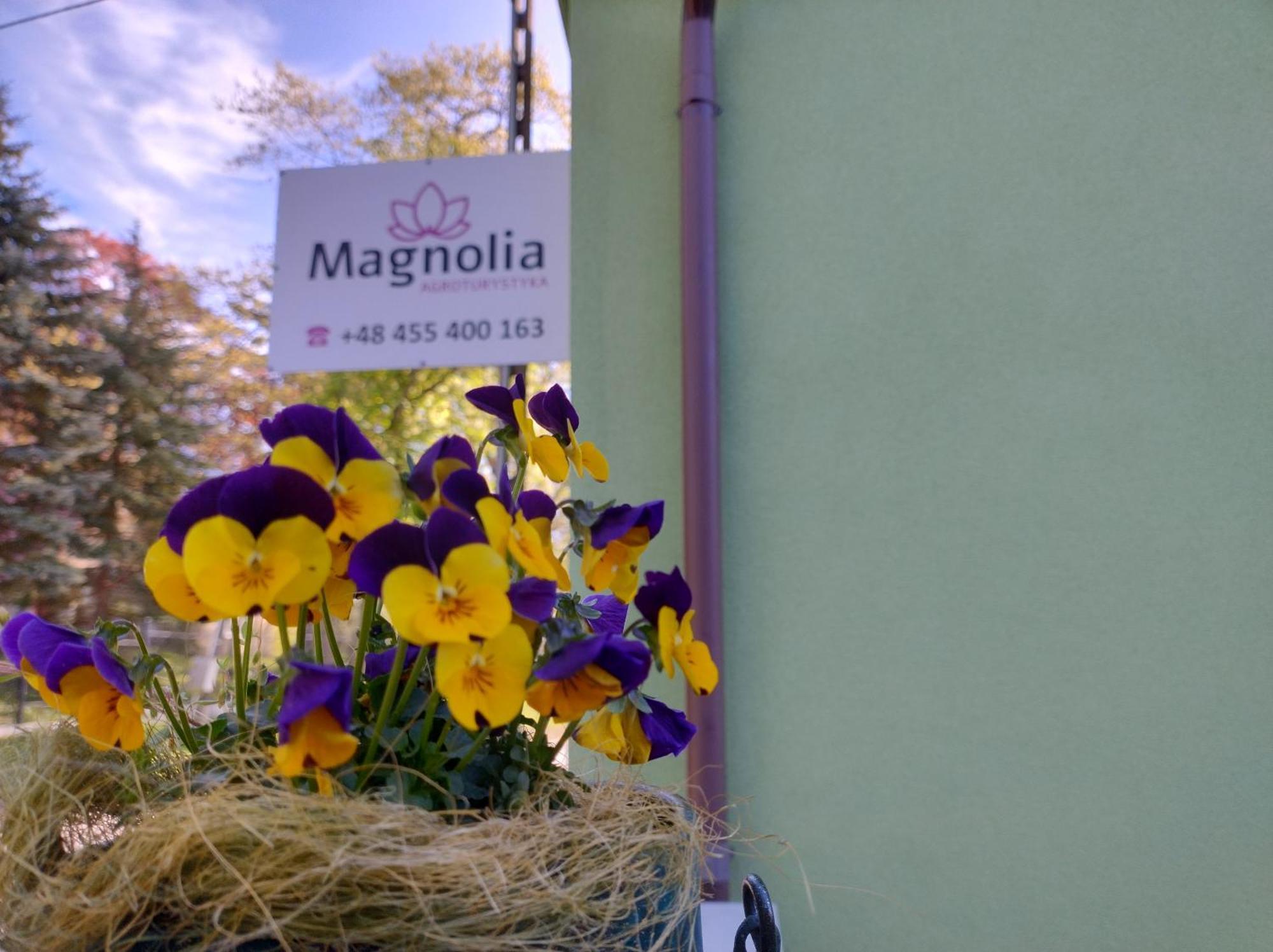 Magnolia Apartment *