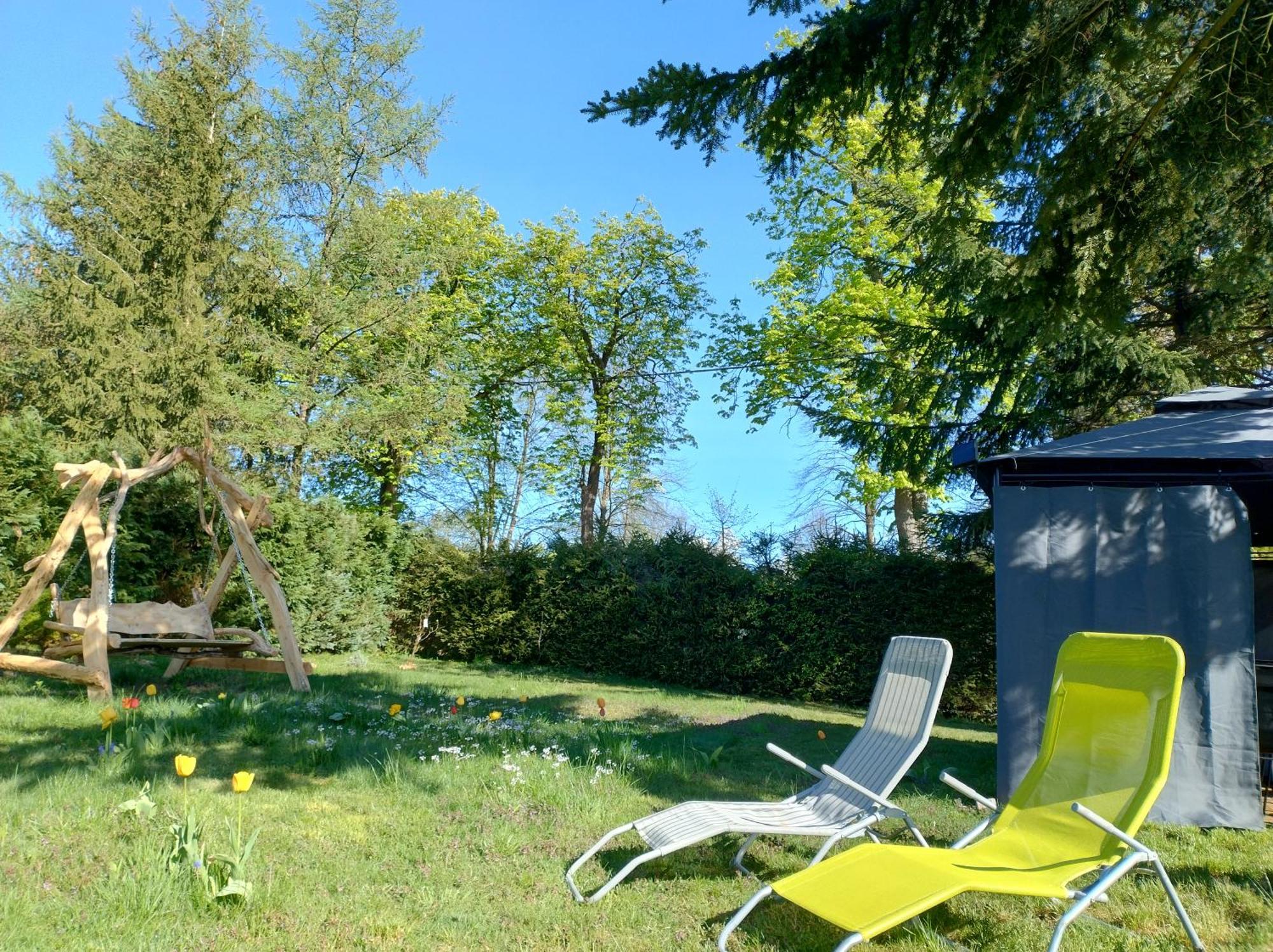 Magnolia * Cieszyno